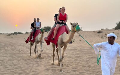 What to Expect on a Dubai Desert Safari Experience