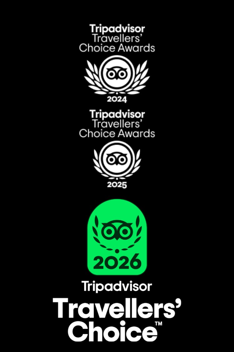 GoToDXB TripAdvisor Travellers' Choice Award